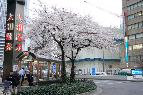 f:id:gzutetsu:20130329174906j:image