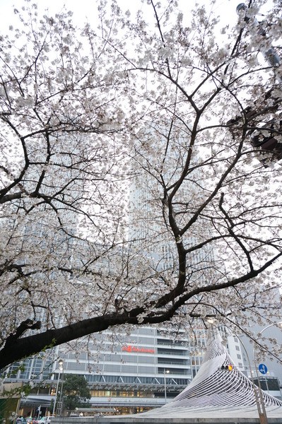 f:id:gzutetsu:20130329175105j:image