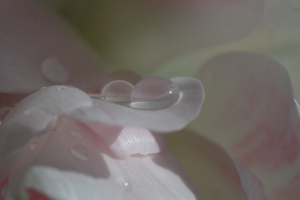 f:id:gzutetsu:20130407081324j:image