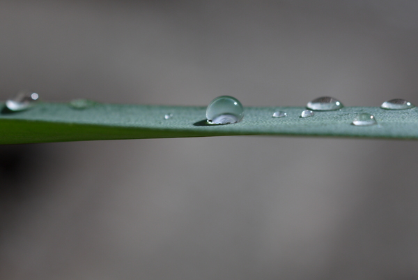f:id:gzutetsu:20130407081818j:image