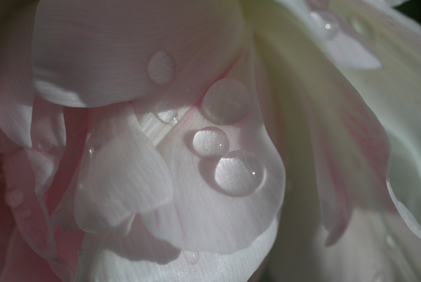 f:id:gzutetsu:20130407081901j:image