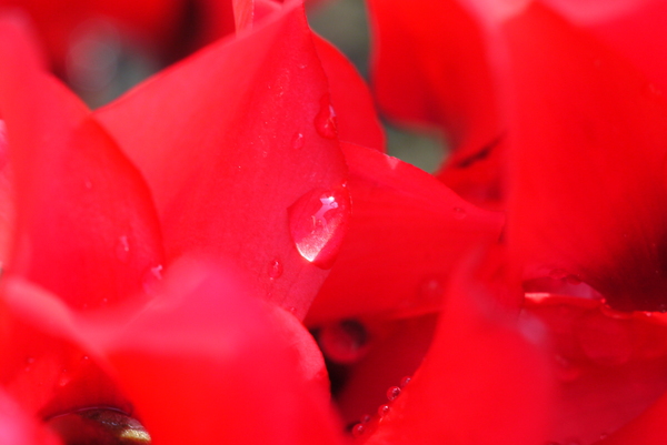 f:id:gzutetsu:20130407082519j:image