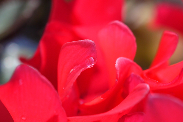 f:id:gzutetsu:20130407082549j:image