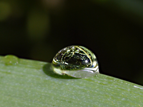 f:id:gzutetsu:20130407121320j:image
