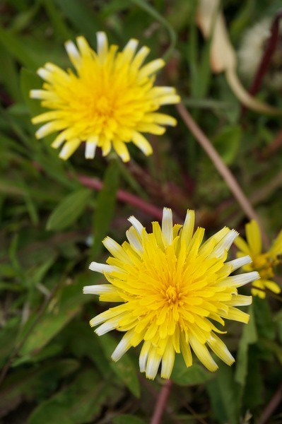 f:id:gzutetsu:20130414133401j:image