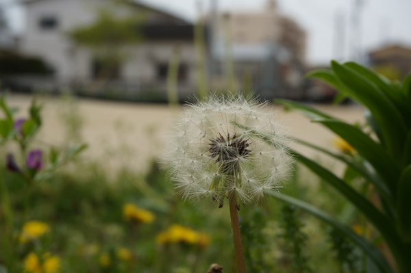 f:id:gzutetsu:20130414135835j:image