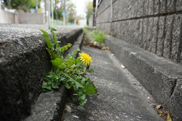 f:id:gzutetsu:20130414140838j:image