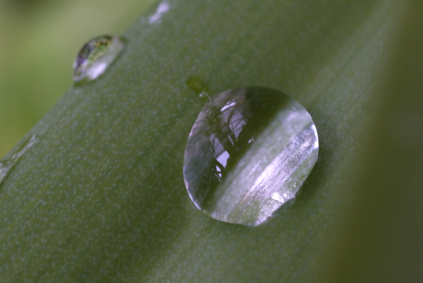 f:id:gzutetsu:20130430143509j:image