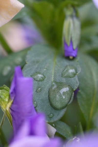 f:id:gzutetsu:20130430143800j:image