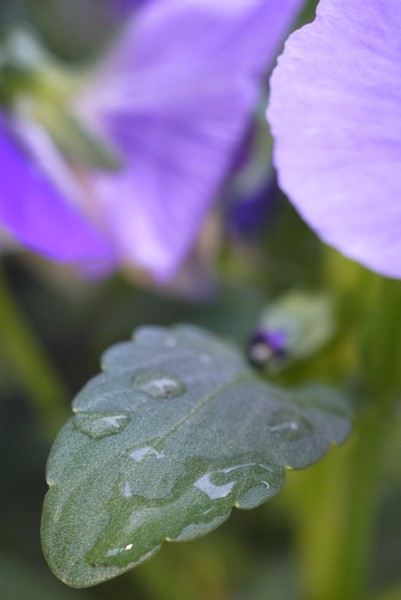 f:id:gzutetsu:20130430143824j:image