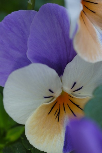 f:id:gzutetsu:20130430143917j:image