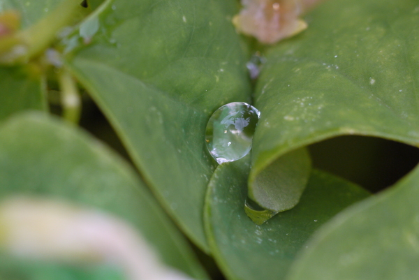 f:id:gzutetsu:20130430144511j:image