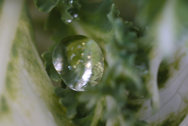 f:id:gzutetsu:20130430144655j:image