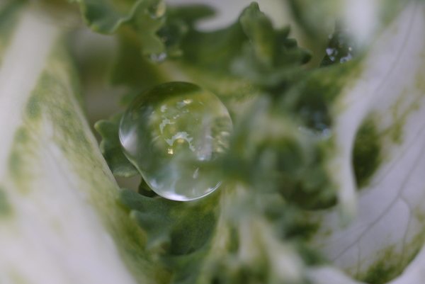 f:id:gzutetsu:20130430144727j:image
