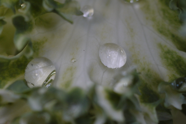 f:id:gzutetsu:20130430144840j:image