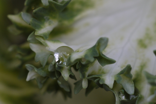 f:id:gzutetsu:20130430144859j:image