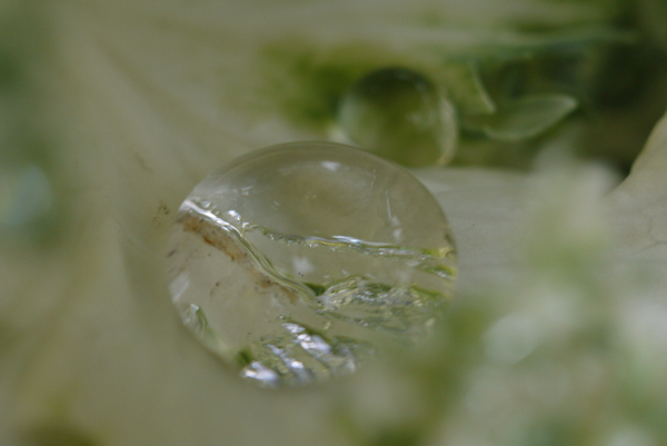 f:id:gzutetsu:20130430144922j:image