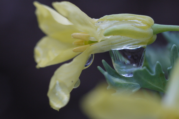 f:id:gzutetsu:20130430145308j:image