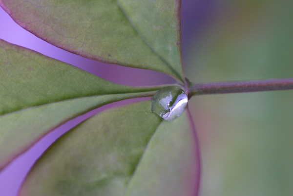 f:id:gzutetsu:20130430145502j:image