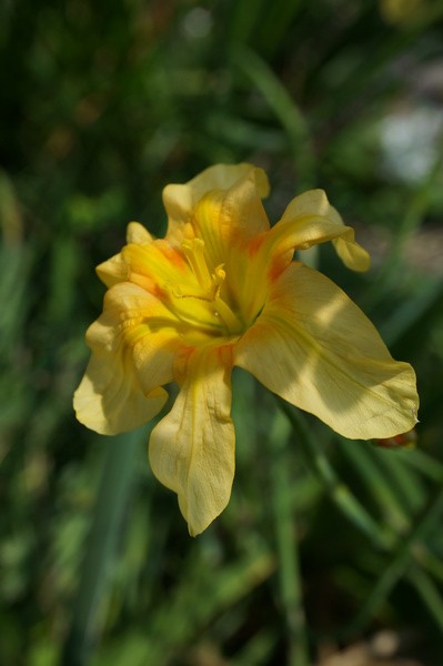 f:id:gzutetsu:20130503103922j:image