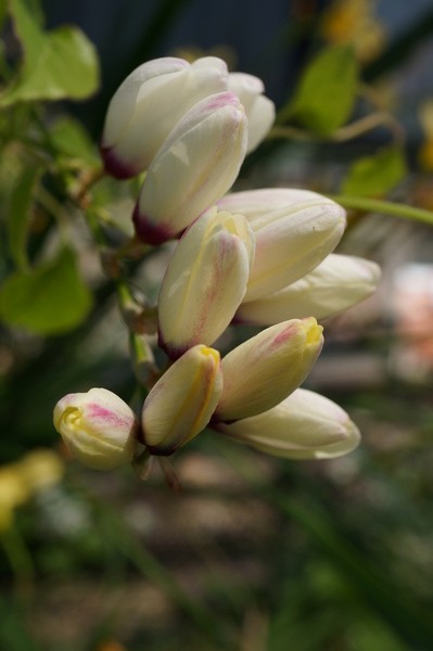 f:id:gzutetsu:20130503104005j:image