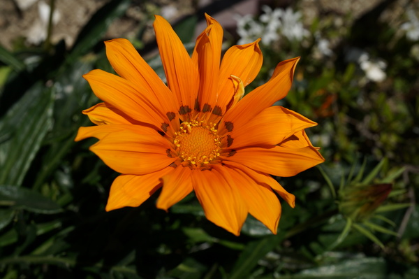 f:id:gzutetsu:20130503104712j:image