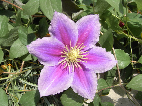 f:id:gzutetsu:20130503105212j:image
