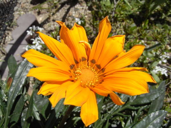 f:id:gzutetsu:20130503105256j:image