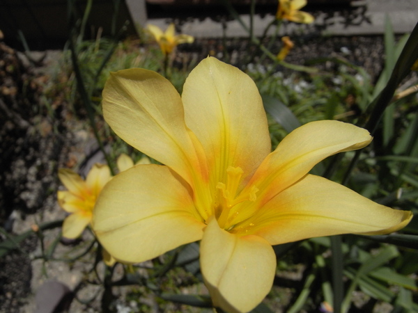f:id:gzutetsu:20130503105308j:image