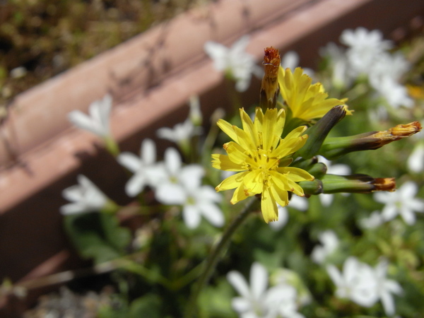 f:id:gzutetsu:20130503105508j:image