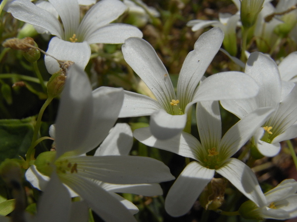 f:id:gzutetsu:20130503105525j:image