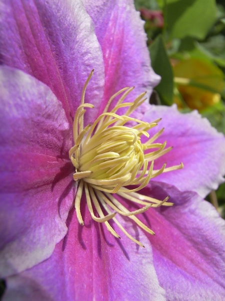 f:id:gzutetsu:20130503110040j:image