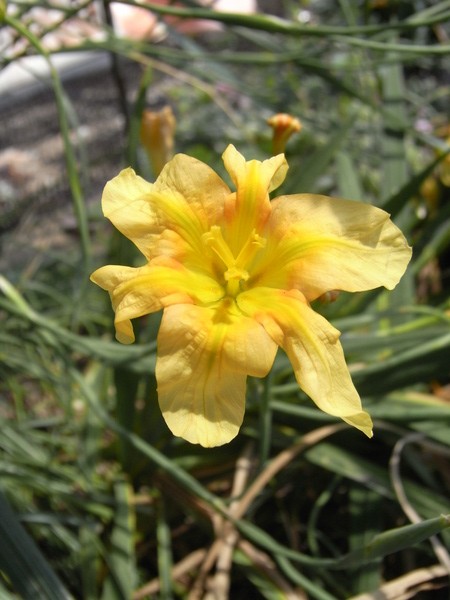 f:id:gzutetsu:20130503110053j:image