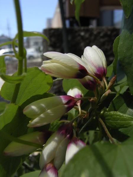 f:id:gzutetsu:20130503110146j:image