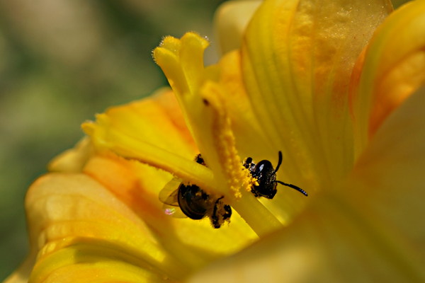 f:id:gzutetsu:20130503120832j:image
