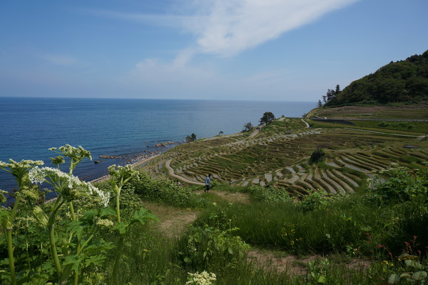 f:id:gzutetsu:20130518102044j:image f:id:gzutetsu:20130518102044j:image