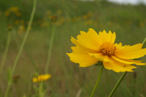 f:id:gzutetsu:20130601143726j:image
