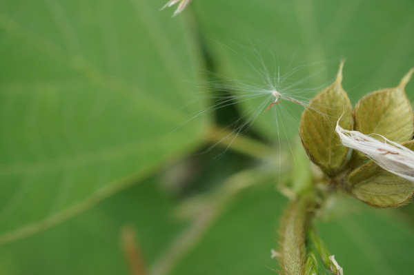 f:id:gzutetsu:20130601145548j:image