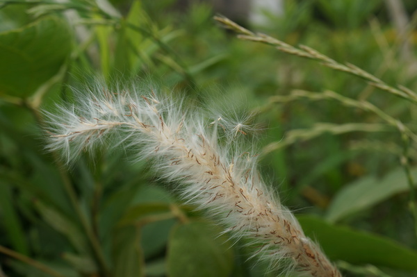 f:id:gzutetsu:20130601145810j:image