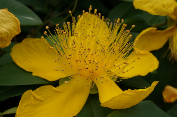 f:id:gzutetsu:20130601151650j:image