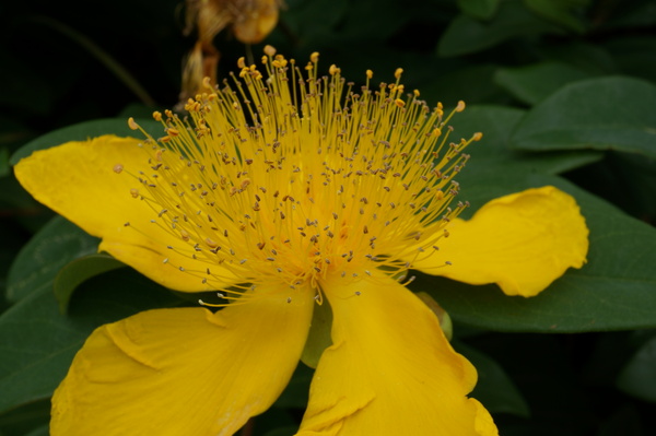 f:id:gzutetsu:20130601151738j:image