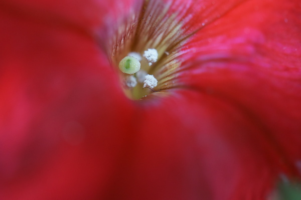 f:id:gzutetsu:20130601155135j:image