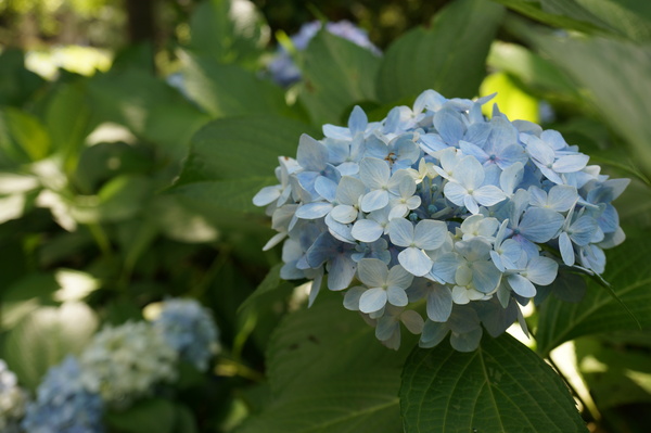 f:id:gzutetsu:20130622141134j:image