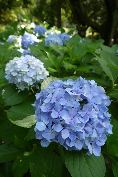 f:id:gzutetsu:20130622141232j:image