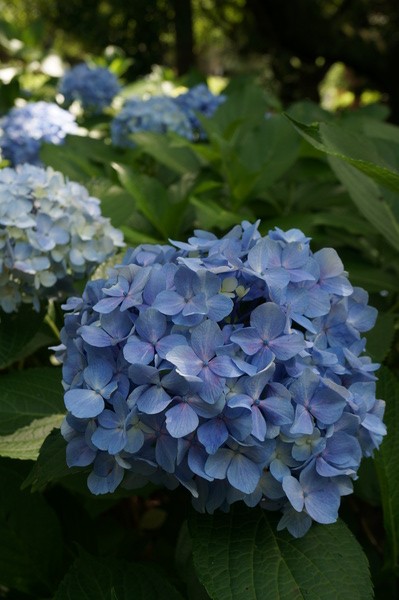 f:id:gzutetsu:20130622141243j:image