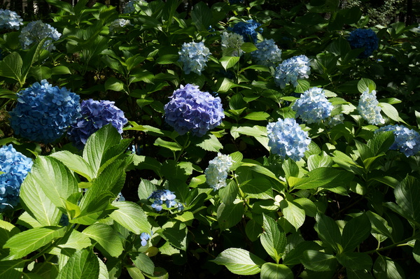 f:id:gzutetsu:20130622141442j:image