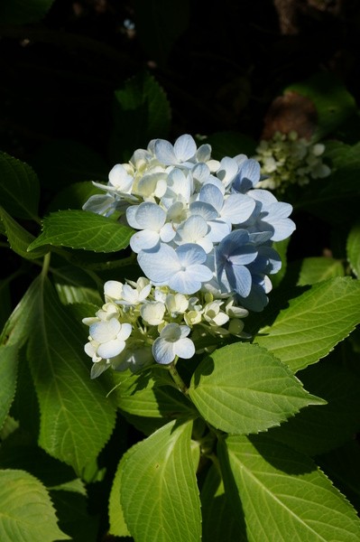 f:id:gzutetsu:20130622141453j:image