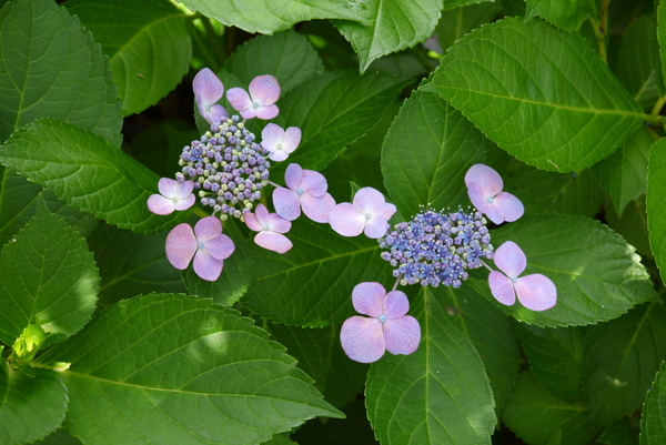 f:id:gzutetsu:20130622141641j:image