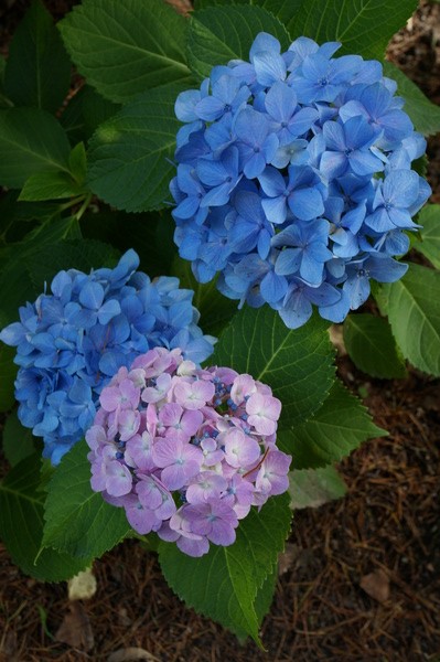 f:id:gzutetsu:20130622142120j:image