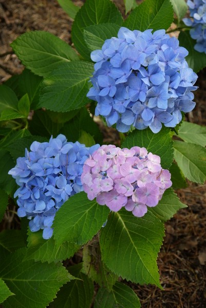 f:id:gzutetsu:20130622142159j:image